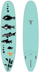 L-board-Fishes